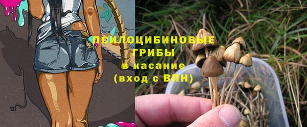 экстази Алексин