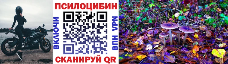 где можно купить наркотик Волжский Галлюциногенные грибы ЛСД